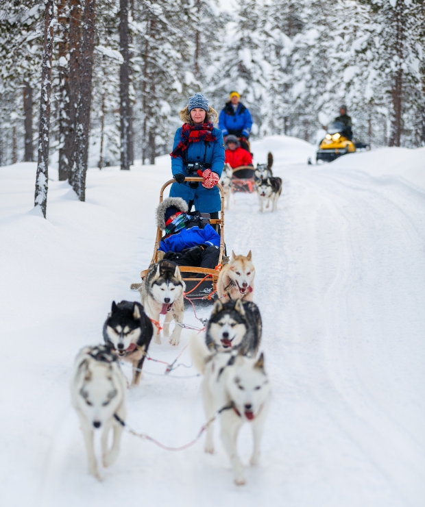 Husky sleds, Lapland